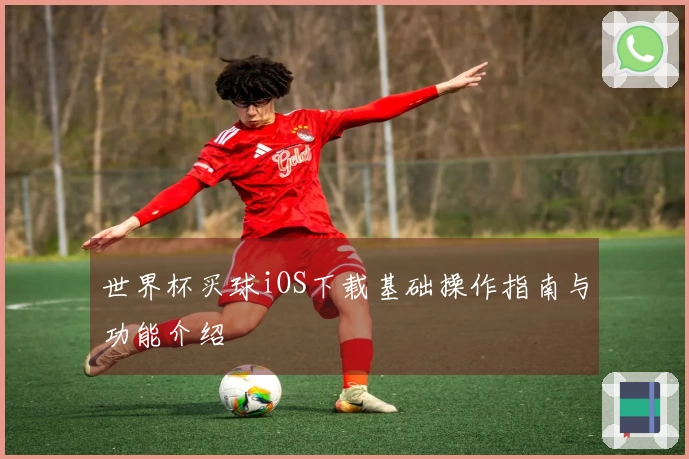 世界杯买球iOS下载基础操作指南与功能介绍
